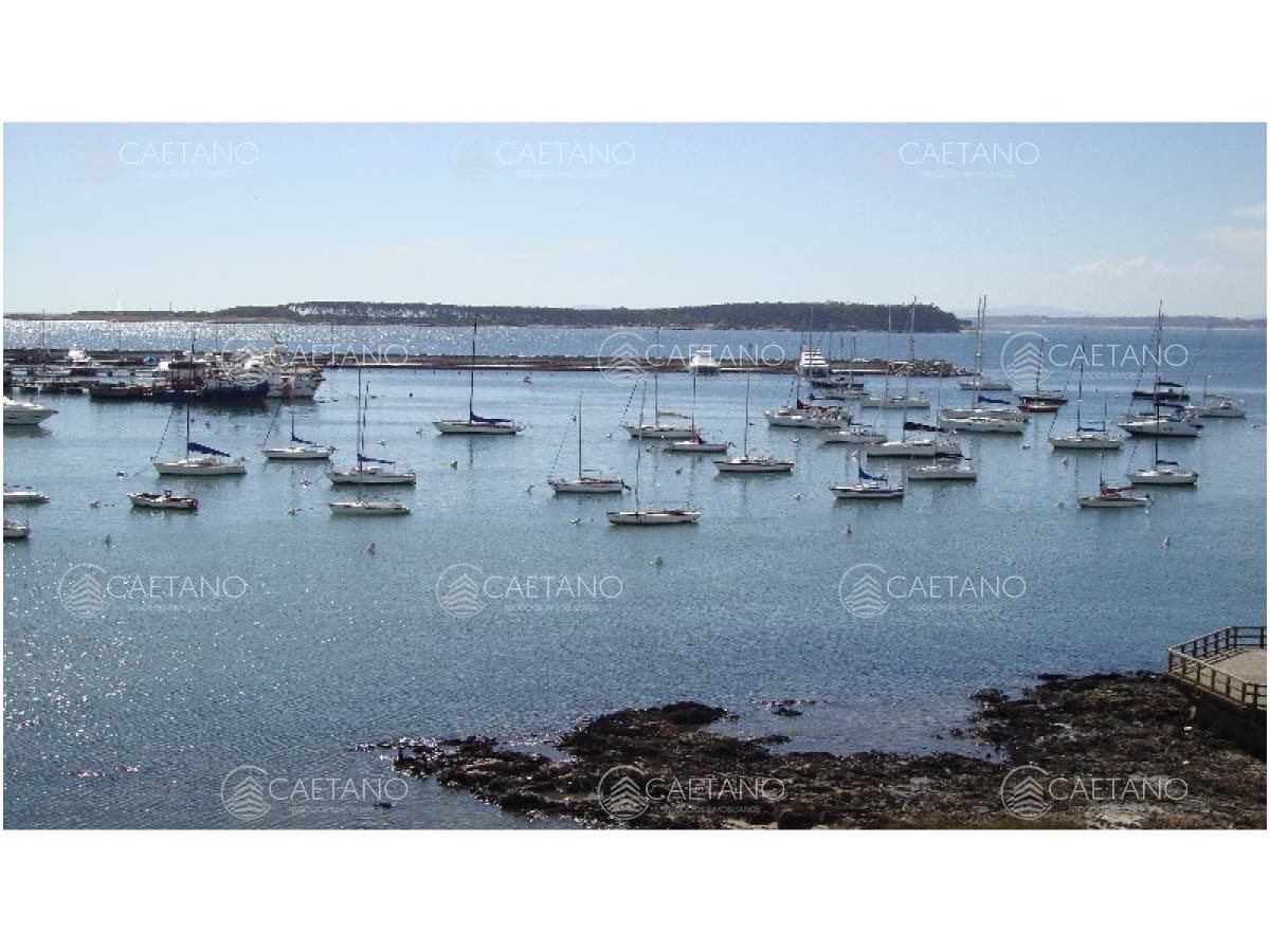 Apartamento en alquiler en Punta del Este — foto 2