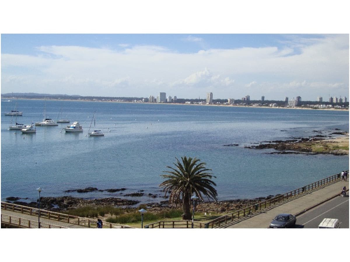 Apartamento en alquiler en Punta del Este