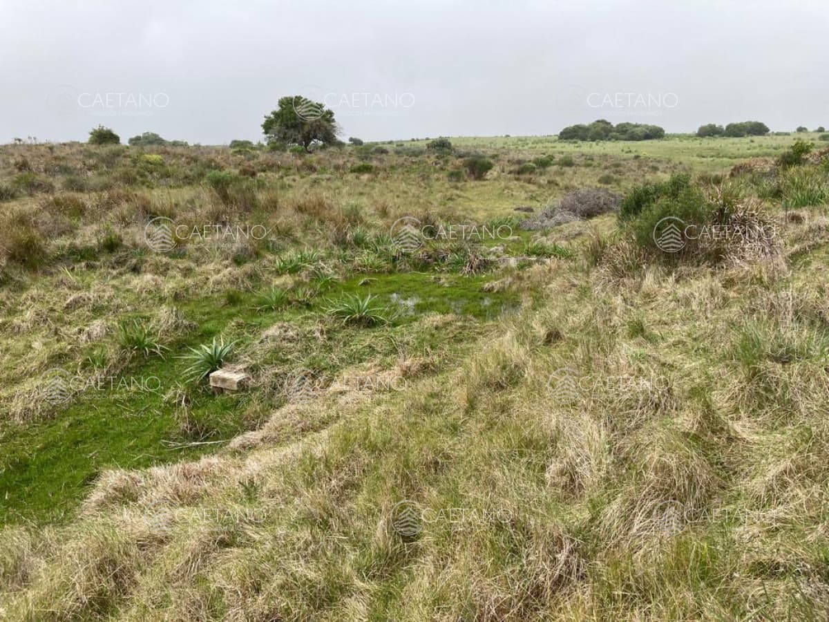 Venta chacra 7 hectáreas, Ruta 39 — foto 3