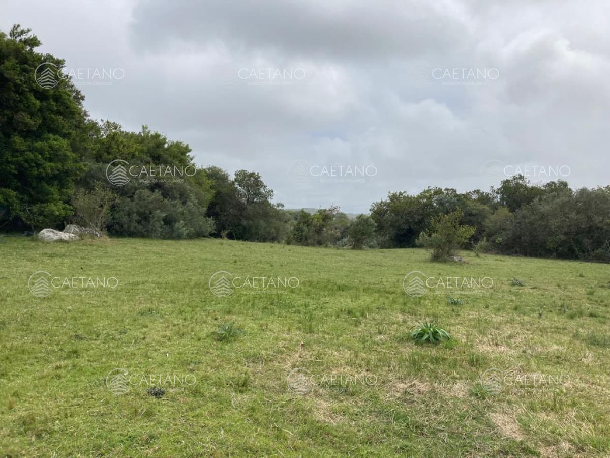 Venta chacra 7 hectáreas, Ruta 39