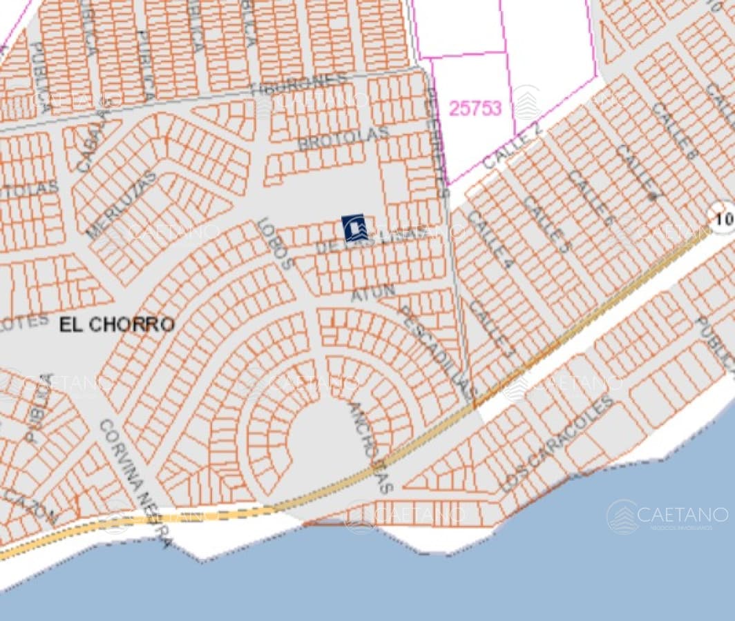TERRENO EN EL CHORRO — foto 2