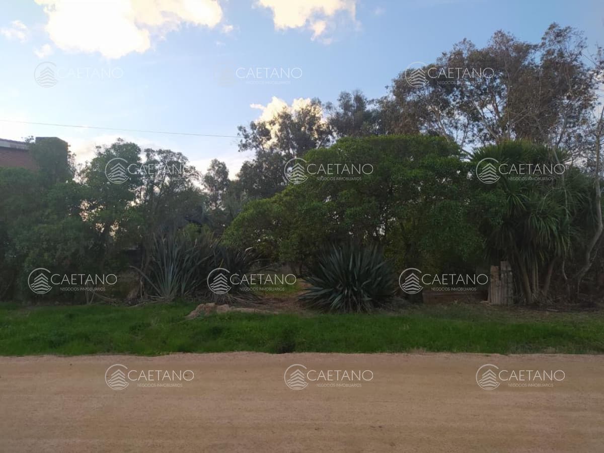 TERRENO EN EL CHORRO — foto 3