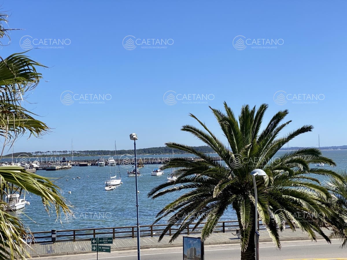 Apartamento en alquiler en Punta del Este