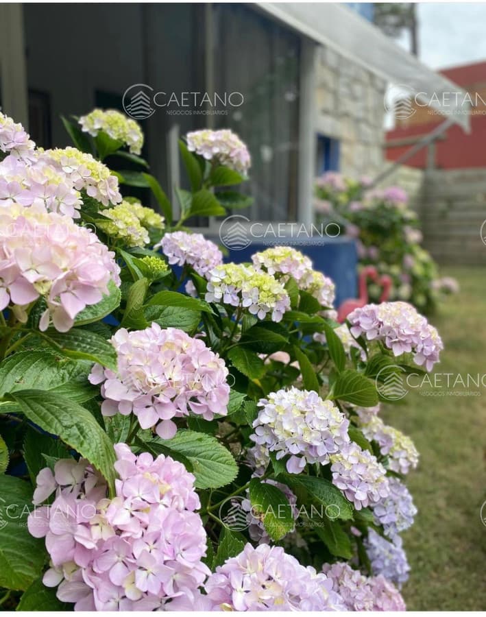casa venta de 3 dormitorios en Montoya — foto 2