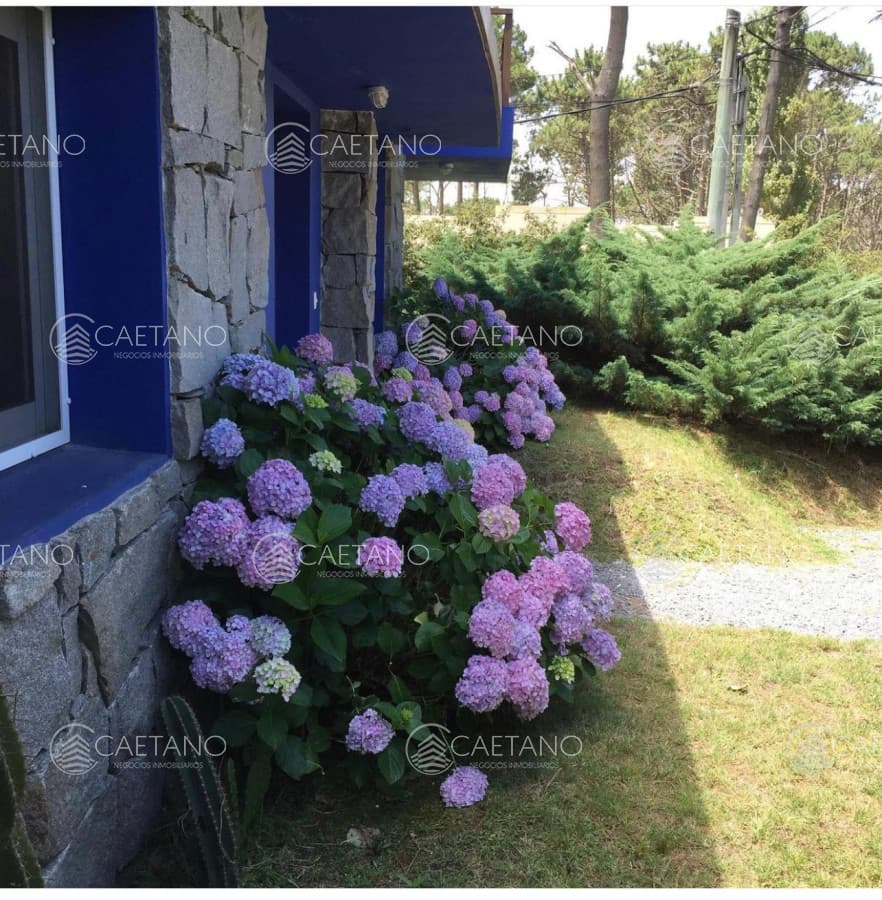 casa venta de 3 dormitorios en Montoya — foto 3