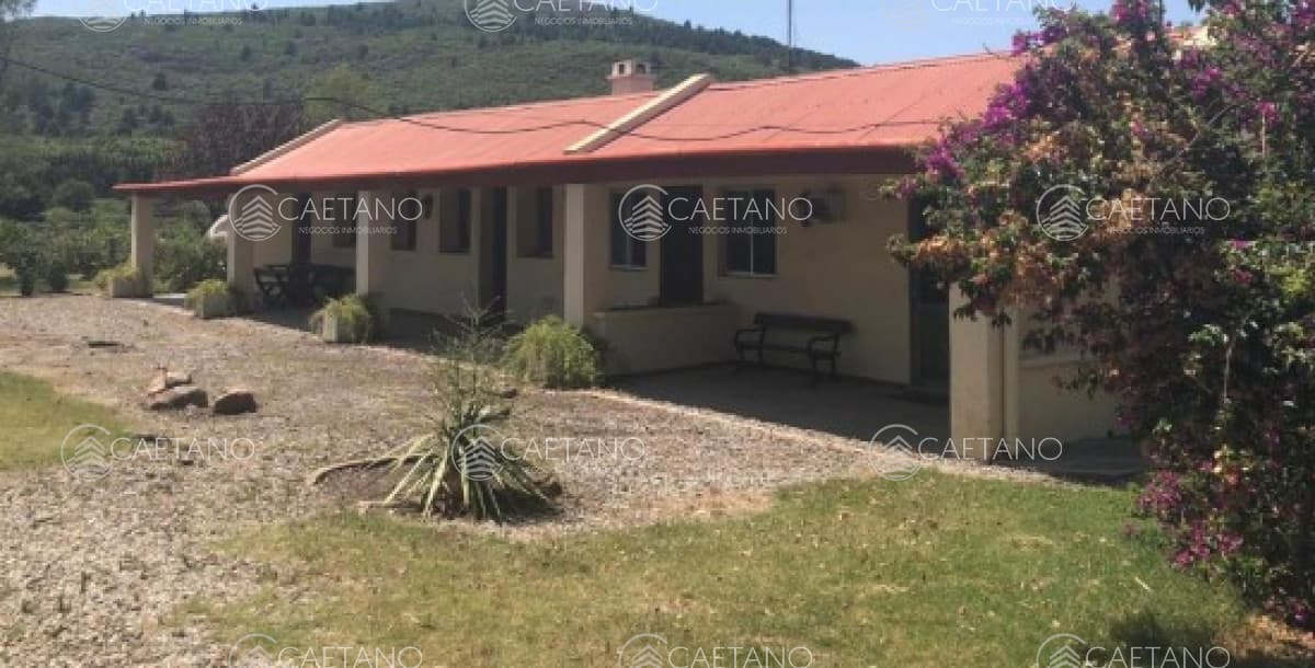 Venta chacra 12 hectáreas en Maldonado Uruguay — foto 2