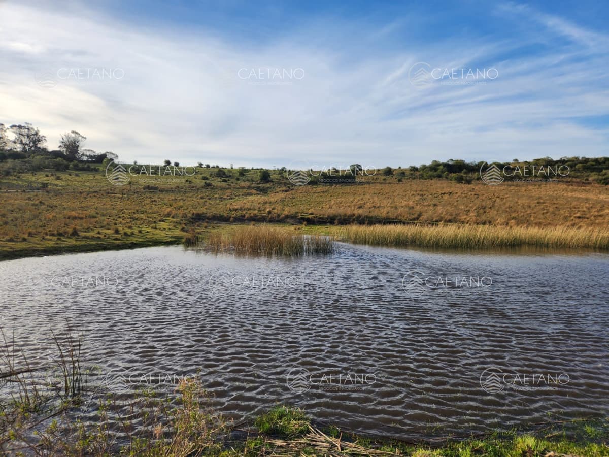 A 10 kms. de Pueblo Garzón, chacra de 36 ha