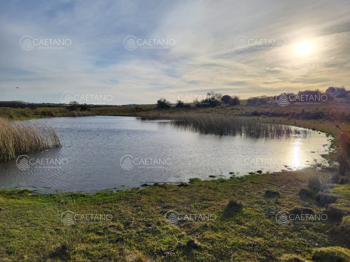 A 10 kms. de Pueblo Garzón, chacra de 36 ha — foto 2