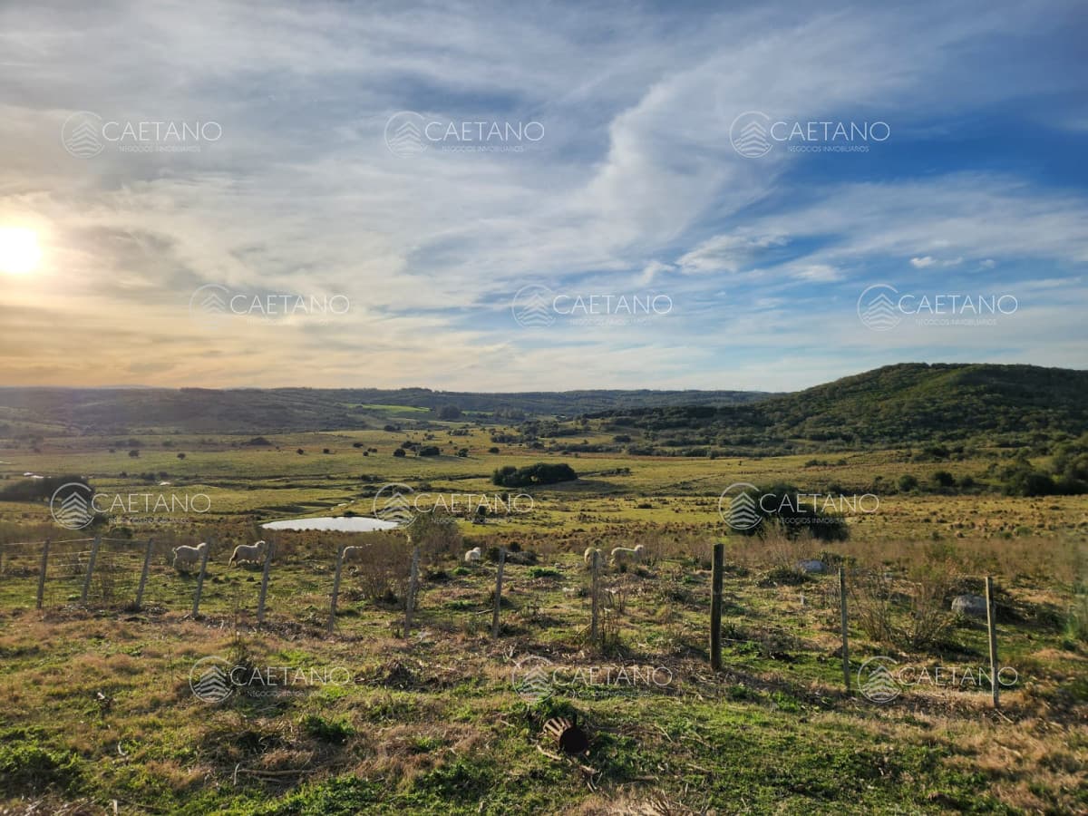 A 10 kms. de Pueblo Garzón, chacra de 36 ha — foto 3