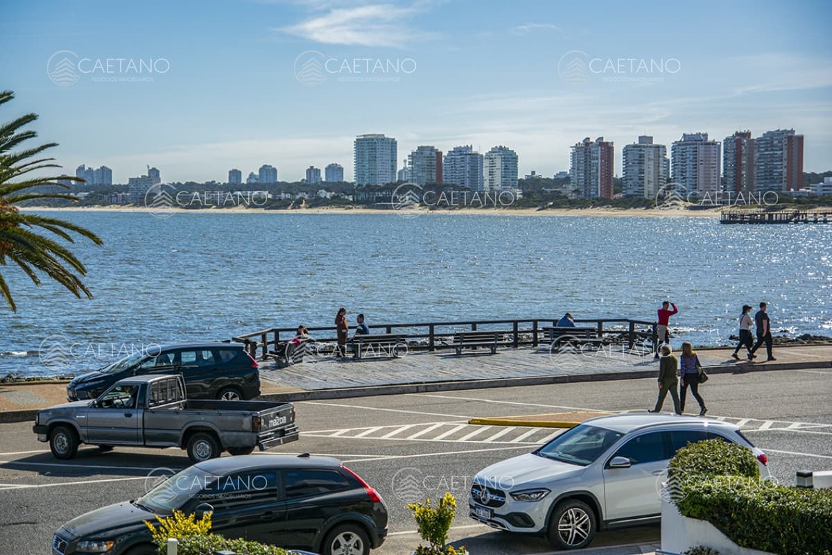 Apartamento en alquiler en Punta del Este