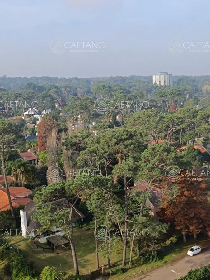 Apartamento en alquiler en Punta del Este