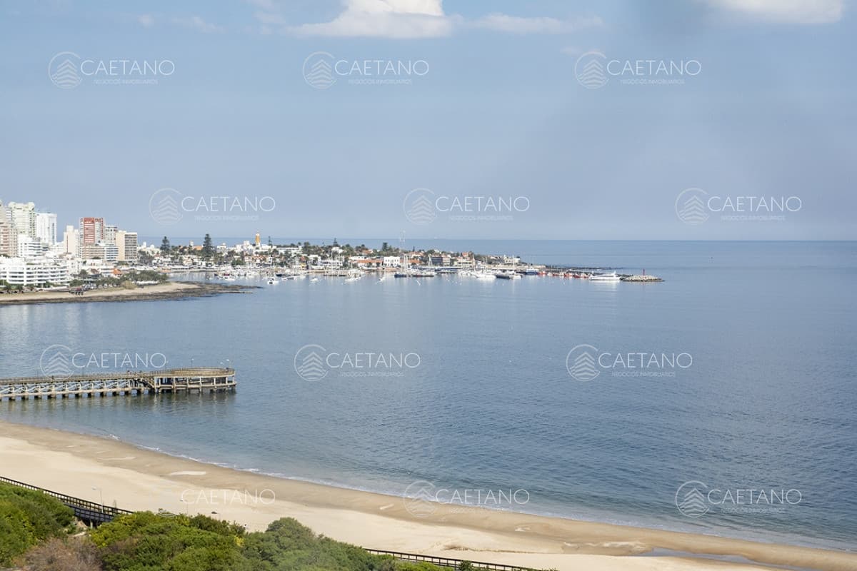 Apartamento en alquiler en Punta del Este