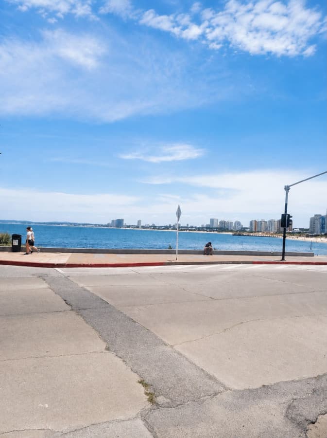 Apartamento en alquiler en Punta del Este