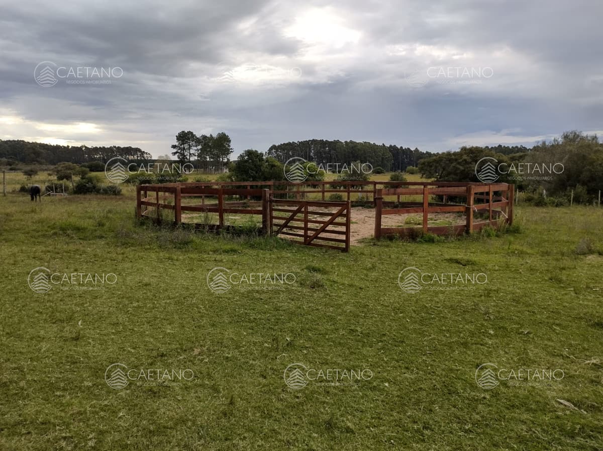 Chacra en Abra de Perdomo — foto 2