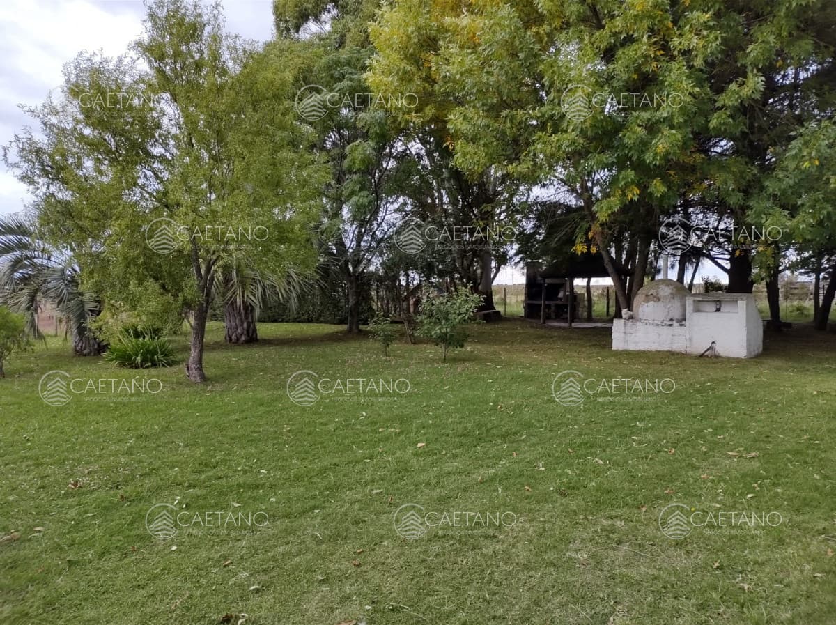 Chacra en Abra de Perdomo