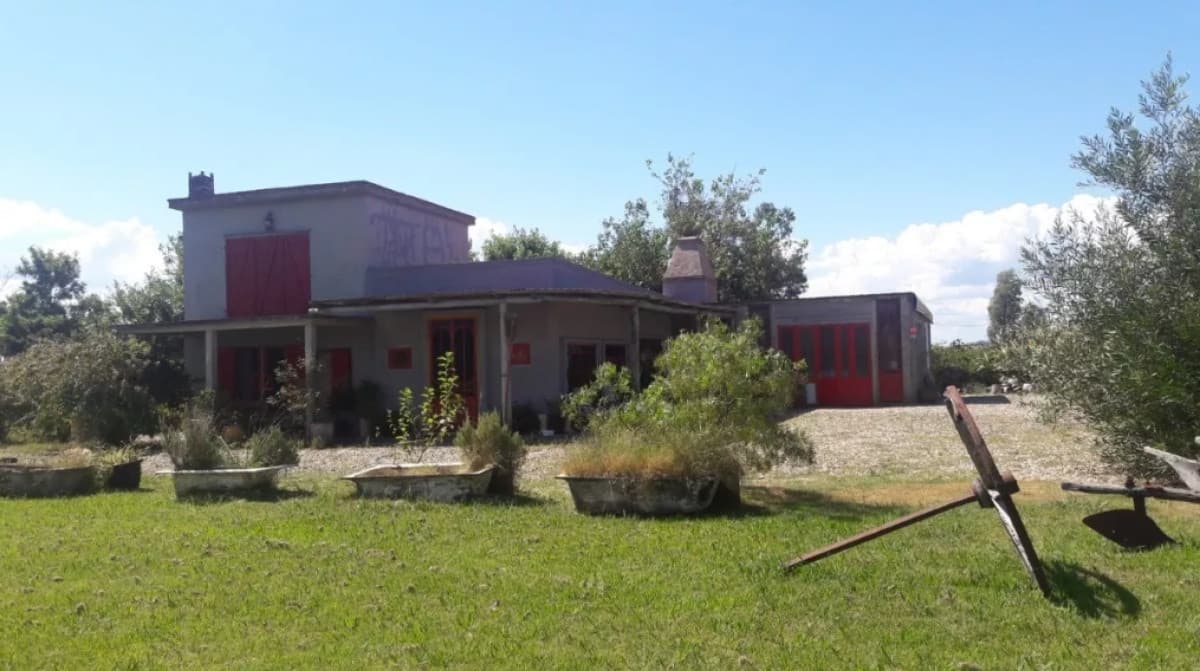 -Chacra de 3 hectáreas en San Carlos.