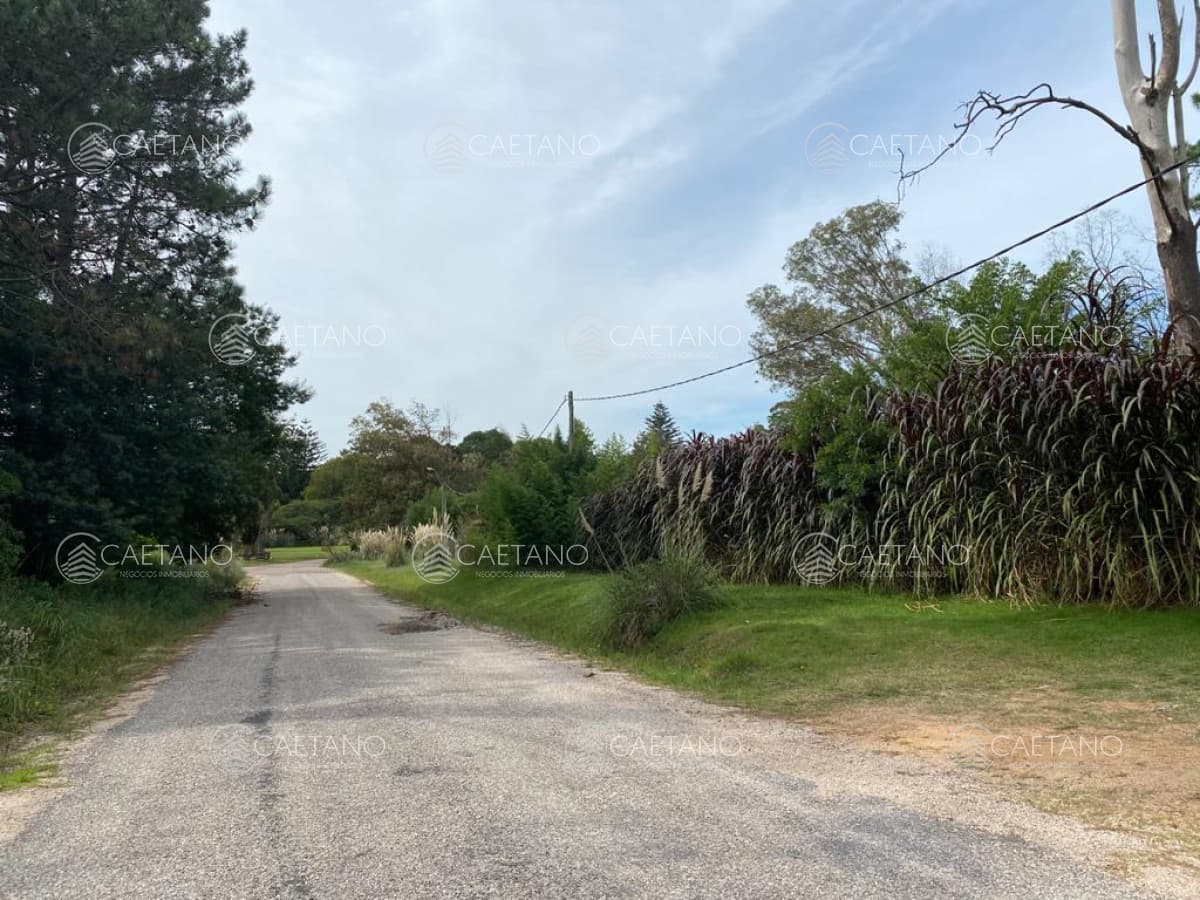 Hermoso terreno en Golf, Punta del Este — foto 2