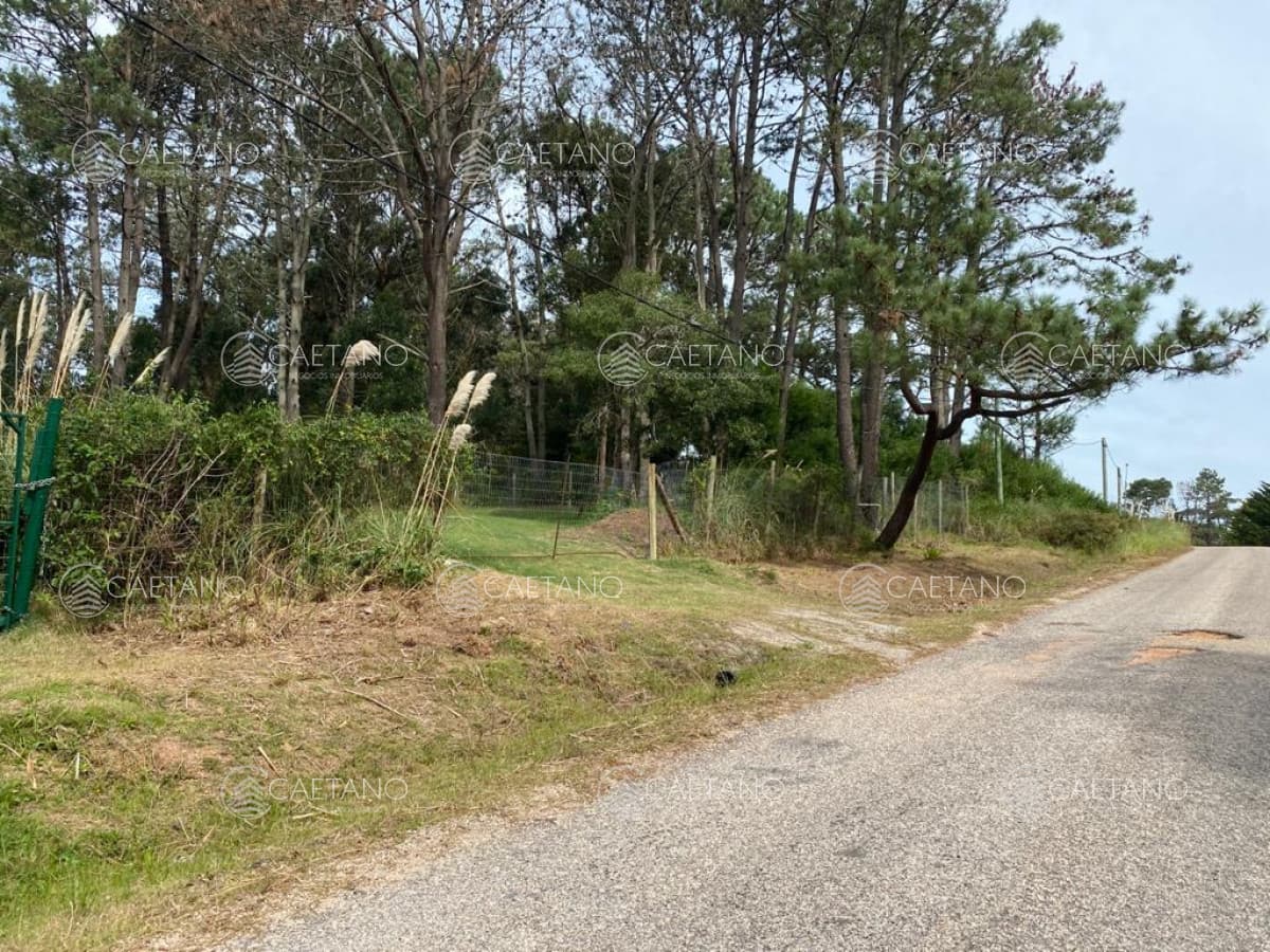 Hermoso terreno en Golf, Punta del Este — foto 3