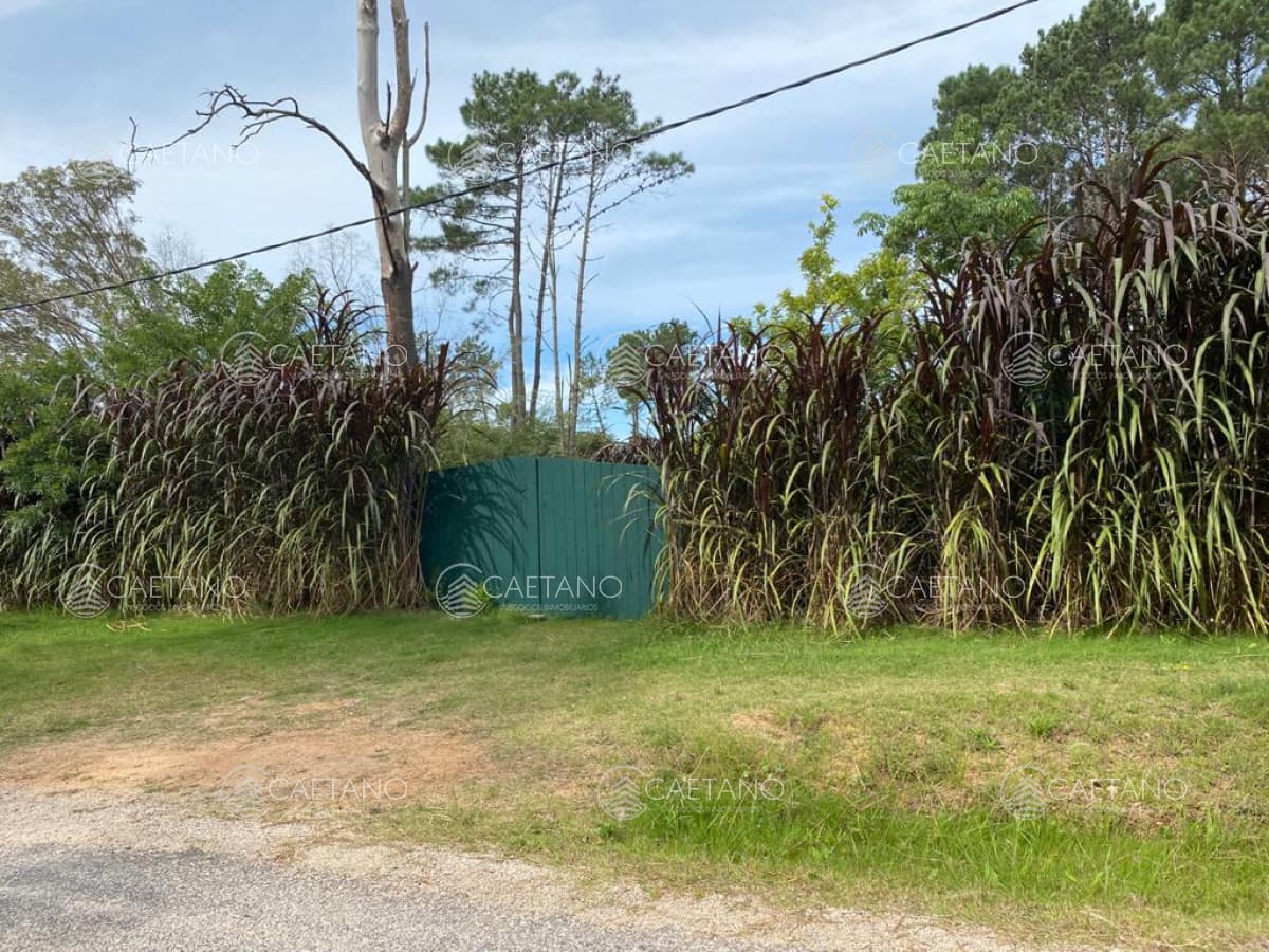 Hermoso terreno en Golf, Punta del Este