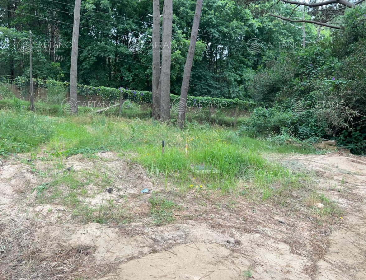 Vende terreno en la Reserva de Montoya. — foto 3
