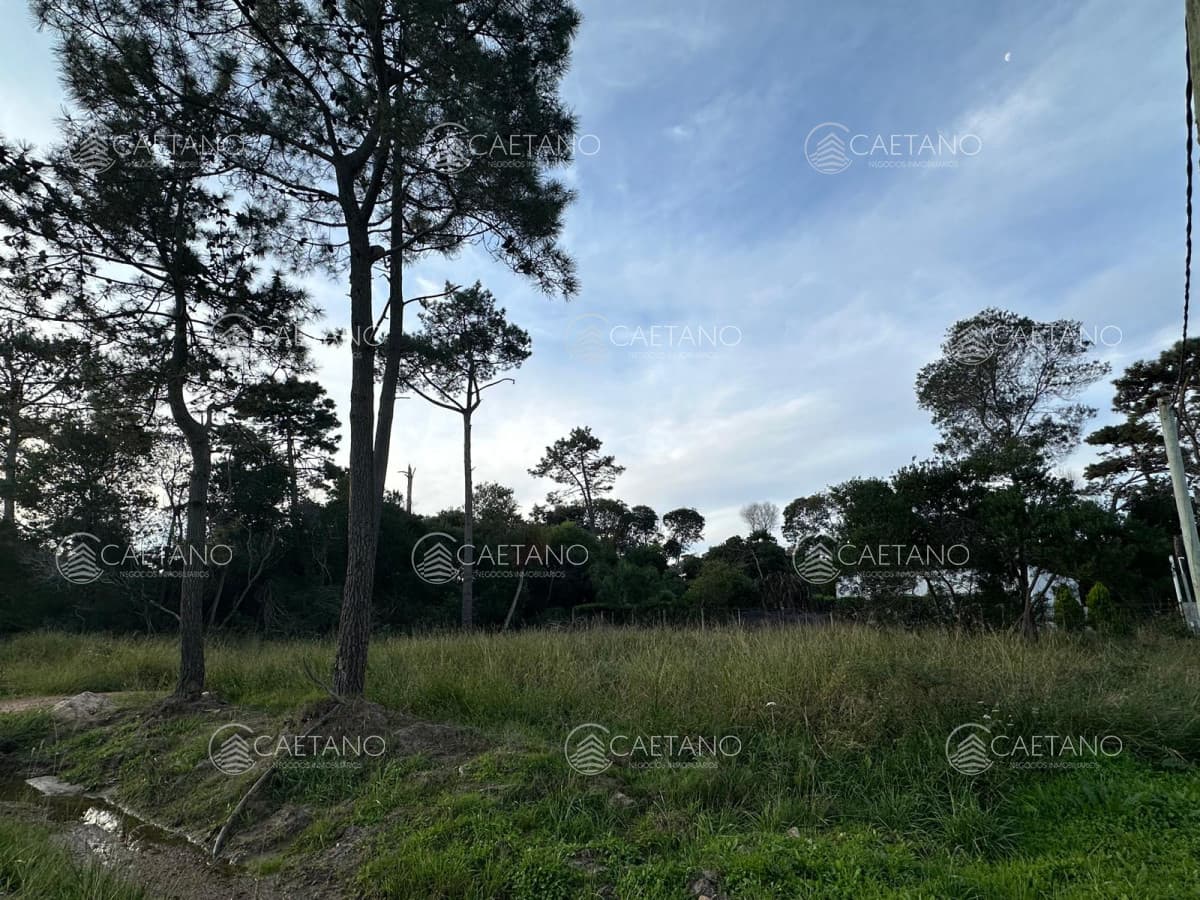 Terreno en Ocean Park — foto 2