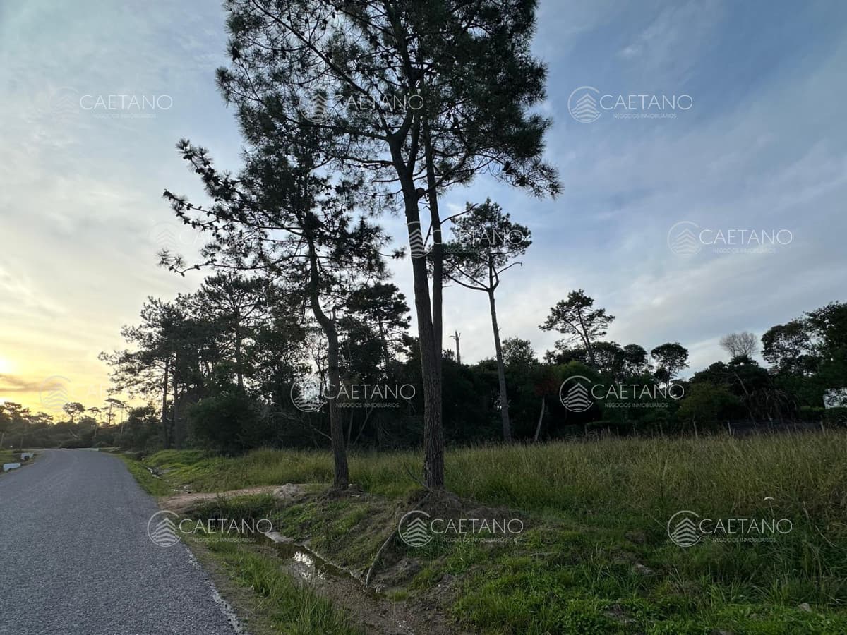 Terreno en Ocean Park