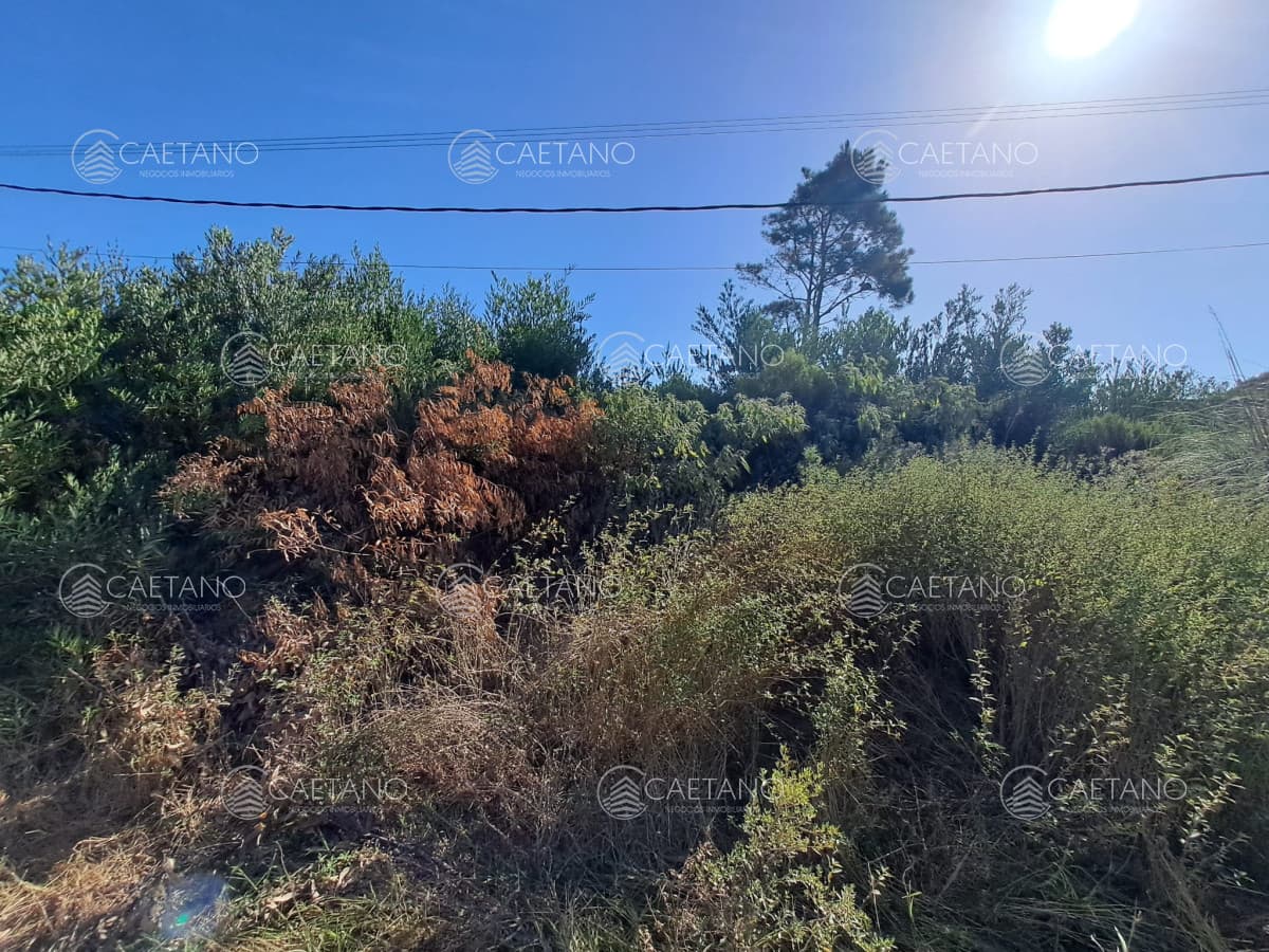 Venta de lote. ¡ Oportunidad con vista al Mar !
