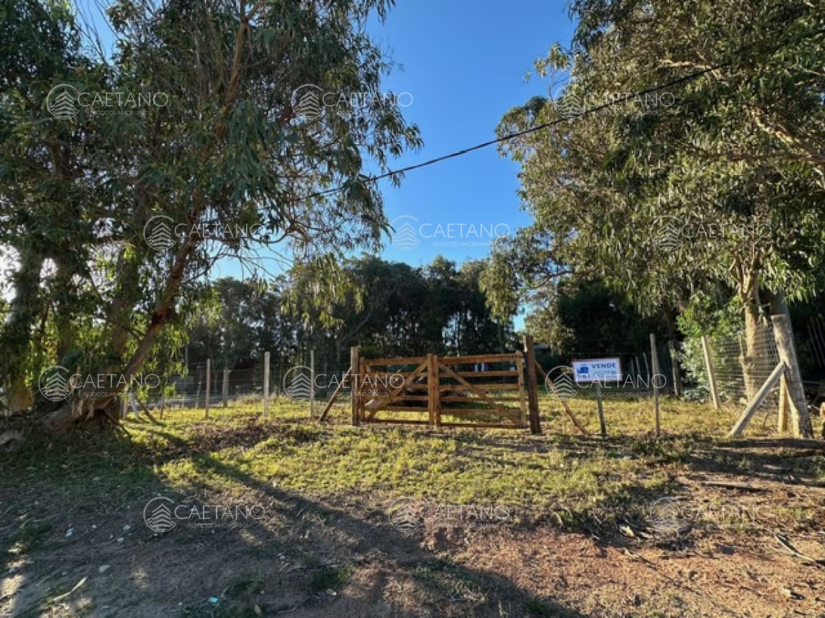 Lote en Sauce de Portezuelo, Maldonado — foto 2