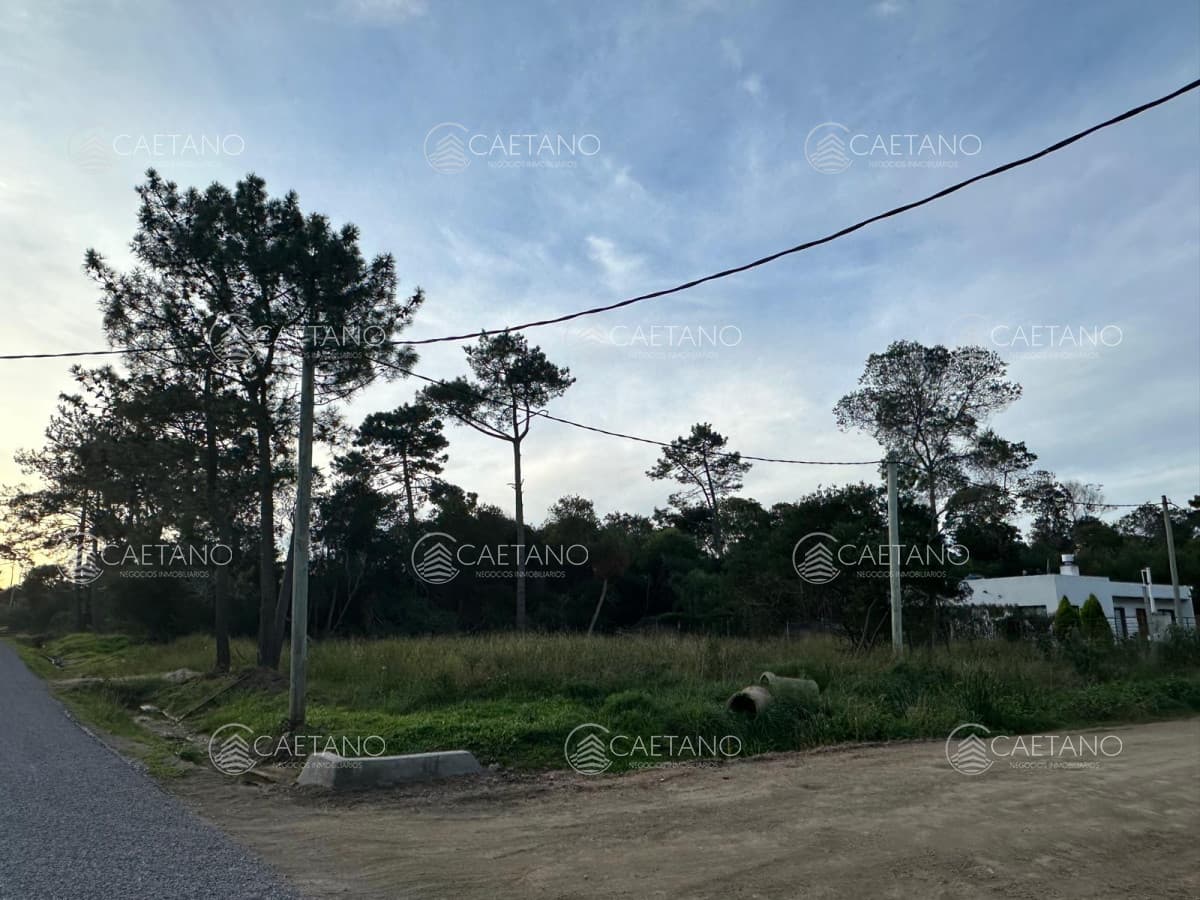 Terreno en Ocean Park — foto 3