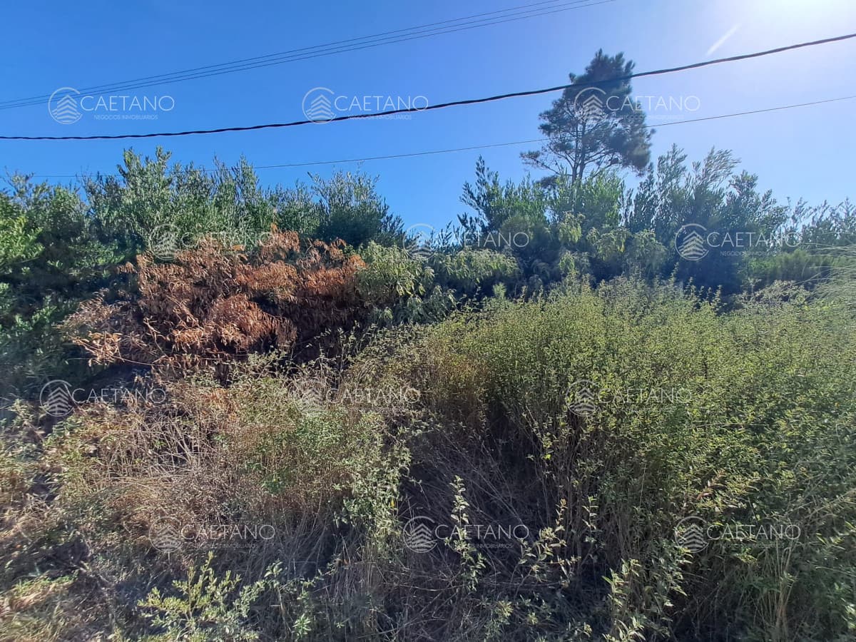 Venta de lote. ¡ Oportunidad con vista al Mar ! — foto 3