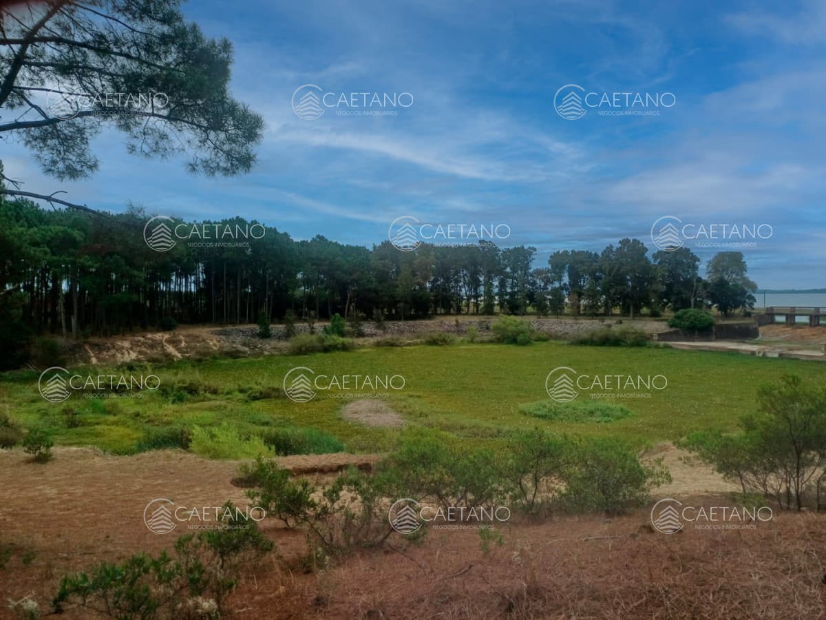 Terreno en venta en Club del Lago, Punta Ballena. — foto 2