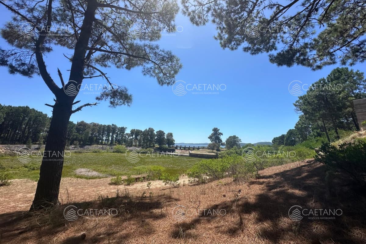 Terreno en venta en Club del Lago, Punta Ballena. — foto 3