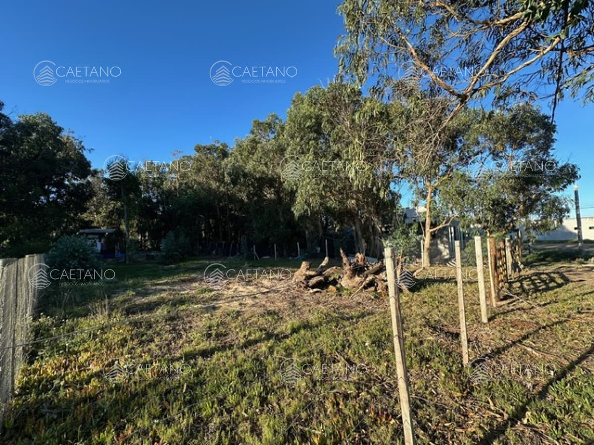 Lote en Sauce de Portezuelo, Maldonado — foto 3