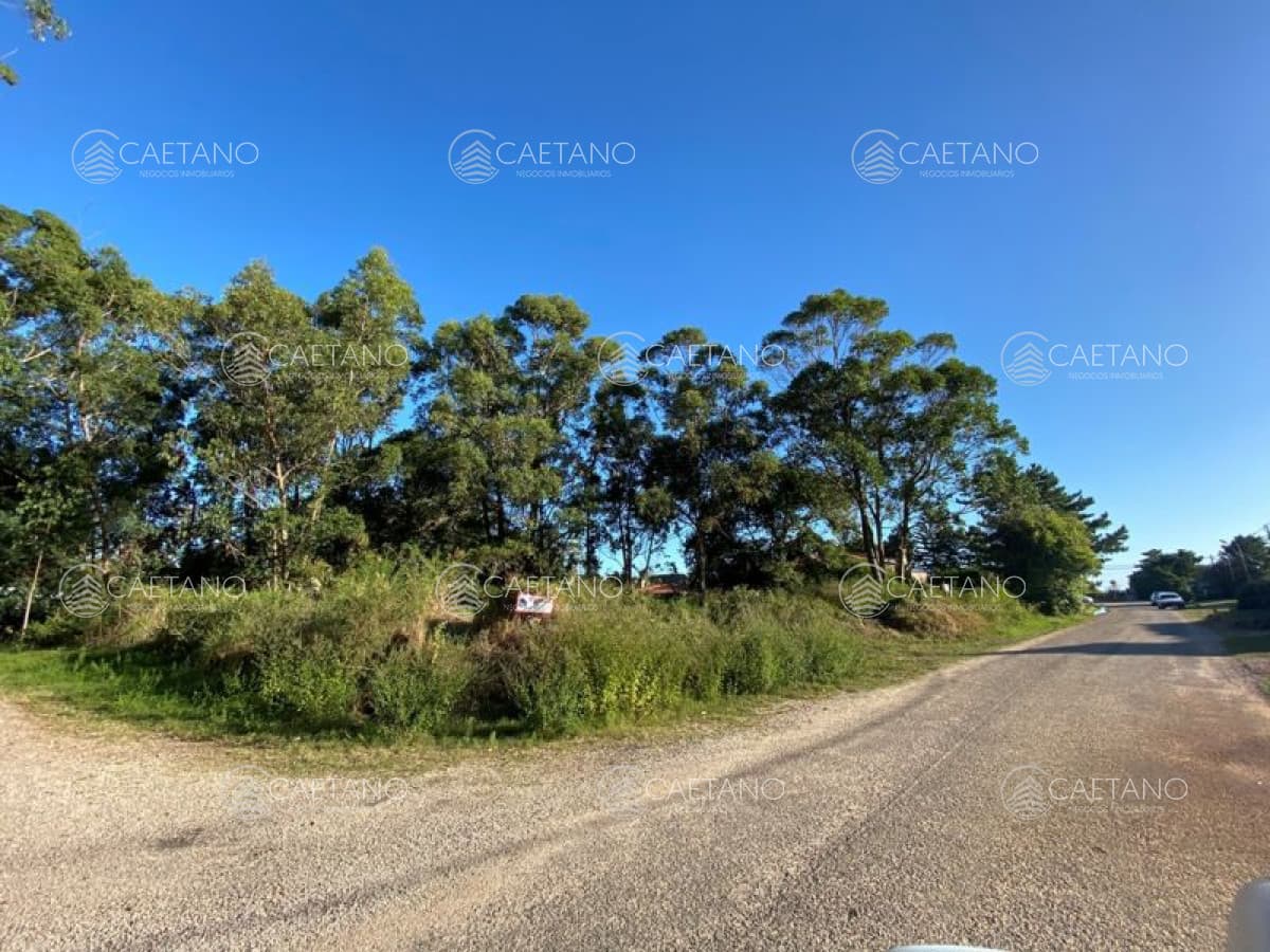 Terreno en venta Punta Ballena — foto 2