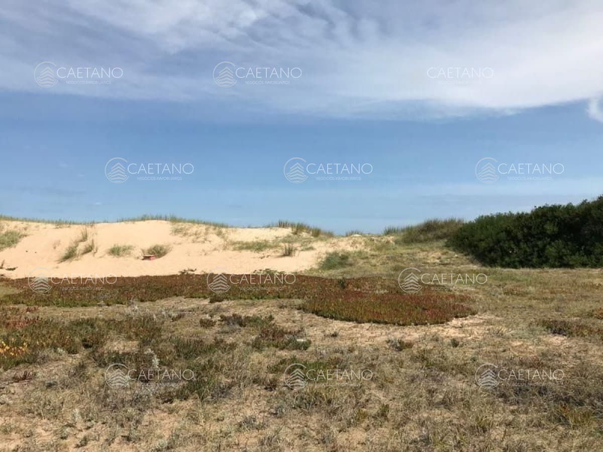 Terreno en venta Chihuahua — foto 3