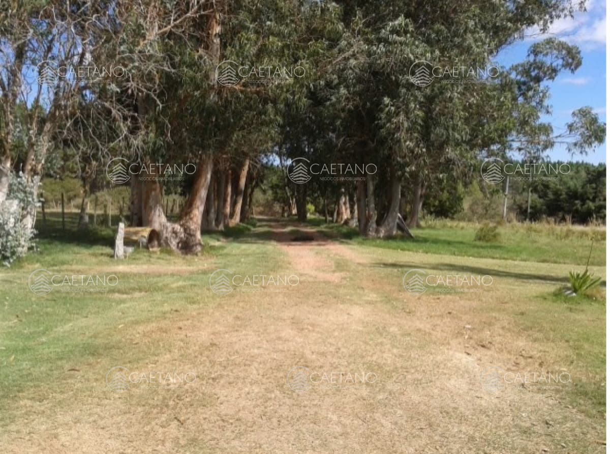 MALDONADO CANTERAS DE MARELLI CHACRA DE 5 HAS CON CASA