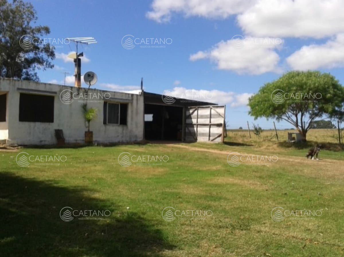 MALDONADO CANTERAS DE MARELLI CHACRA DE 5 HAS CON CASA — foto 3