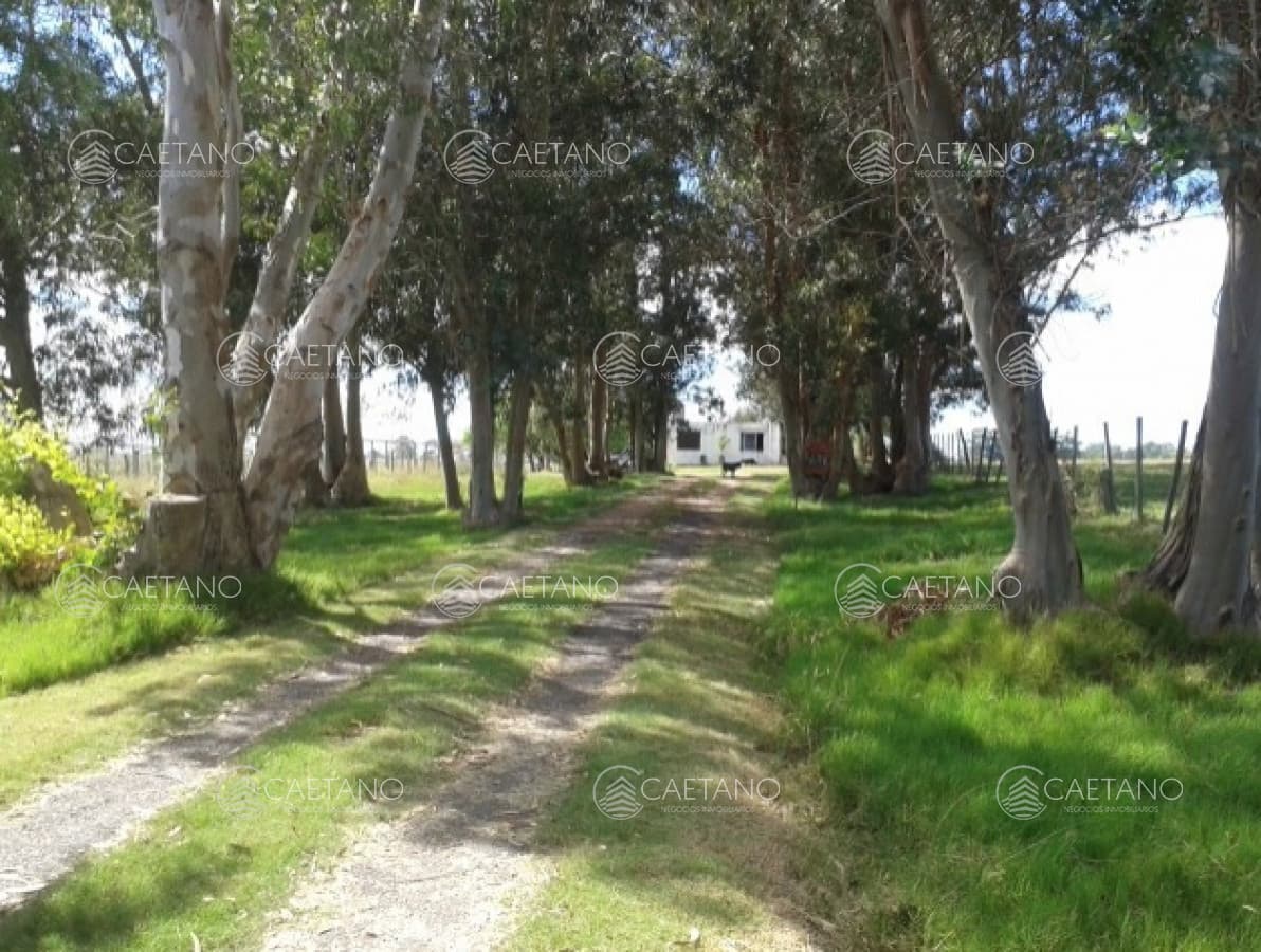 MALDONADO CANTERAS DE MARELLI CHACRA DE 5 HAS CON CASA — foto 2
