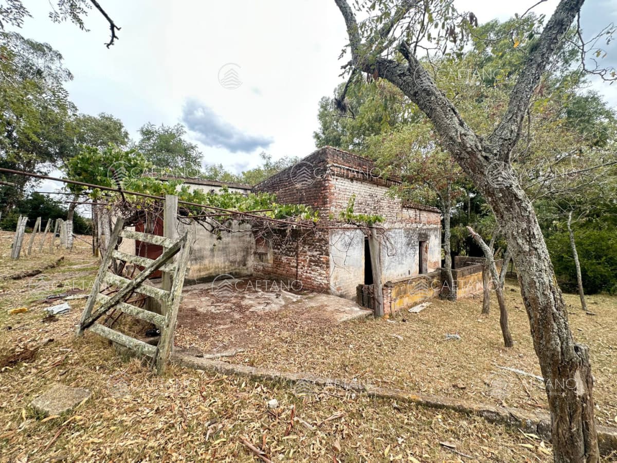 Chacra en venta con instalaciones para reciclar. — foto 3