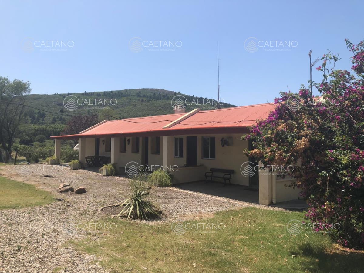 venta chacra 8 dormitorios. Gregorio Aznares, Maldonado. — foto 3