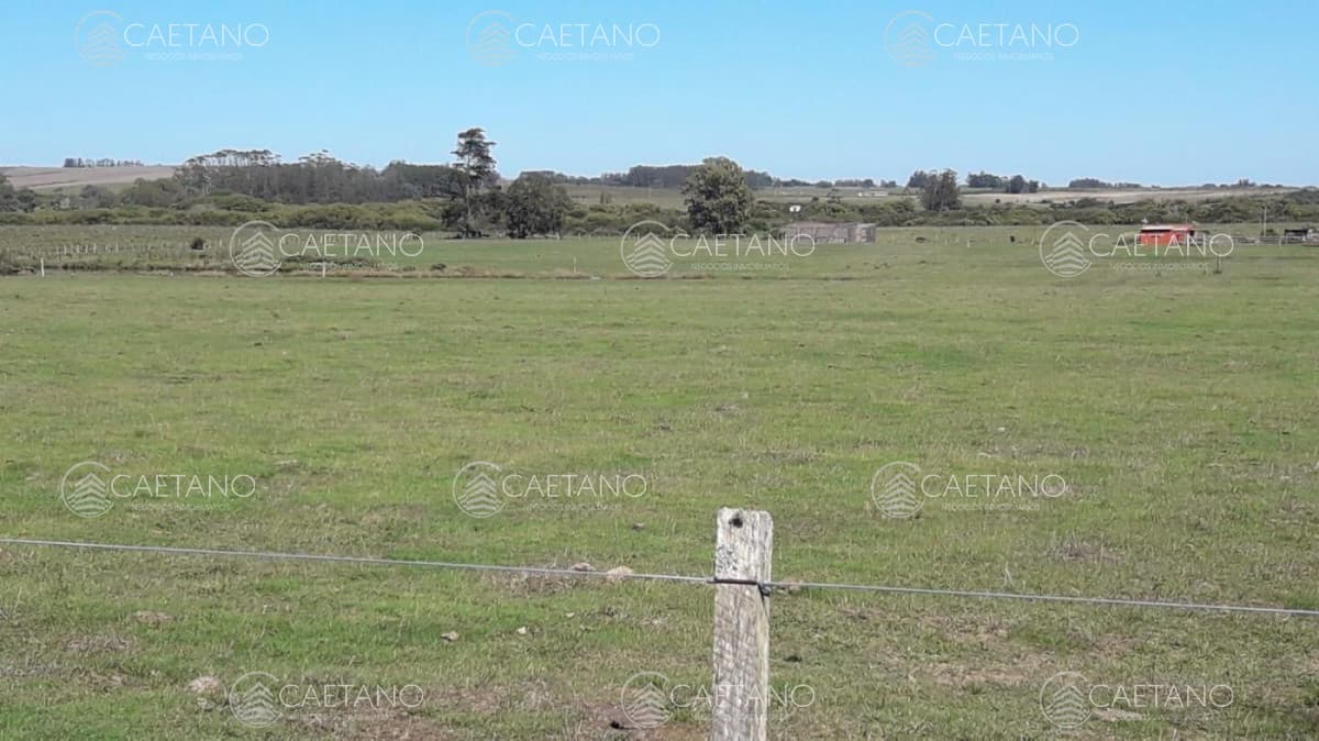 Chacra a 10km de Garzón. — foto 3