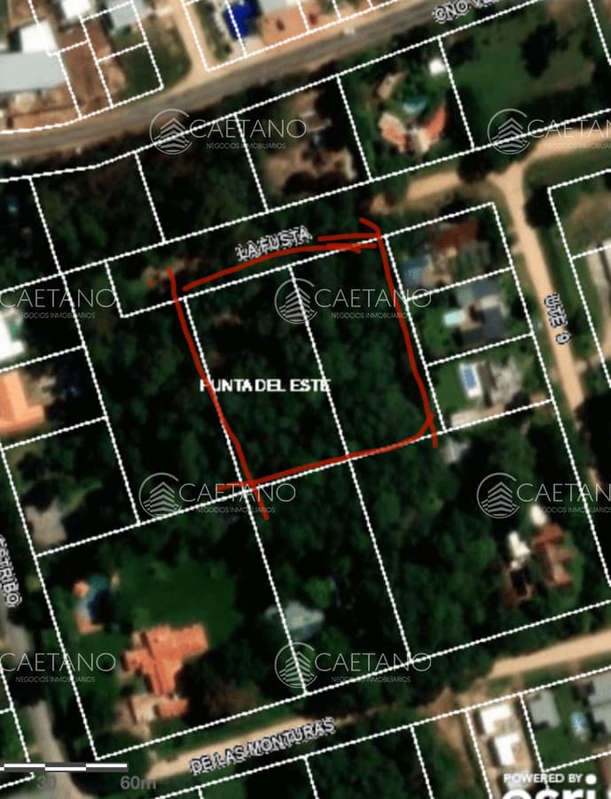 Venta terreno Burnet, Punta del Este. — foto 3