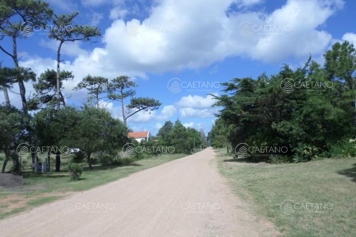 Terreno en Tio Tom. — foto 2