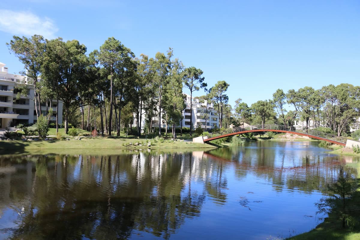 Apartamento en alquiler en Punta Ballena