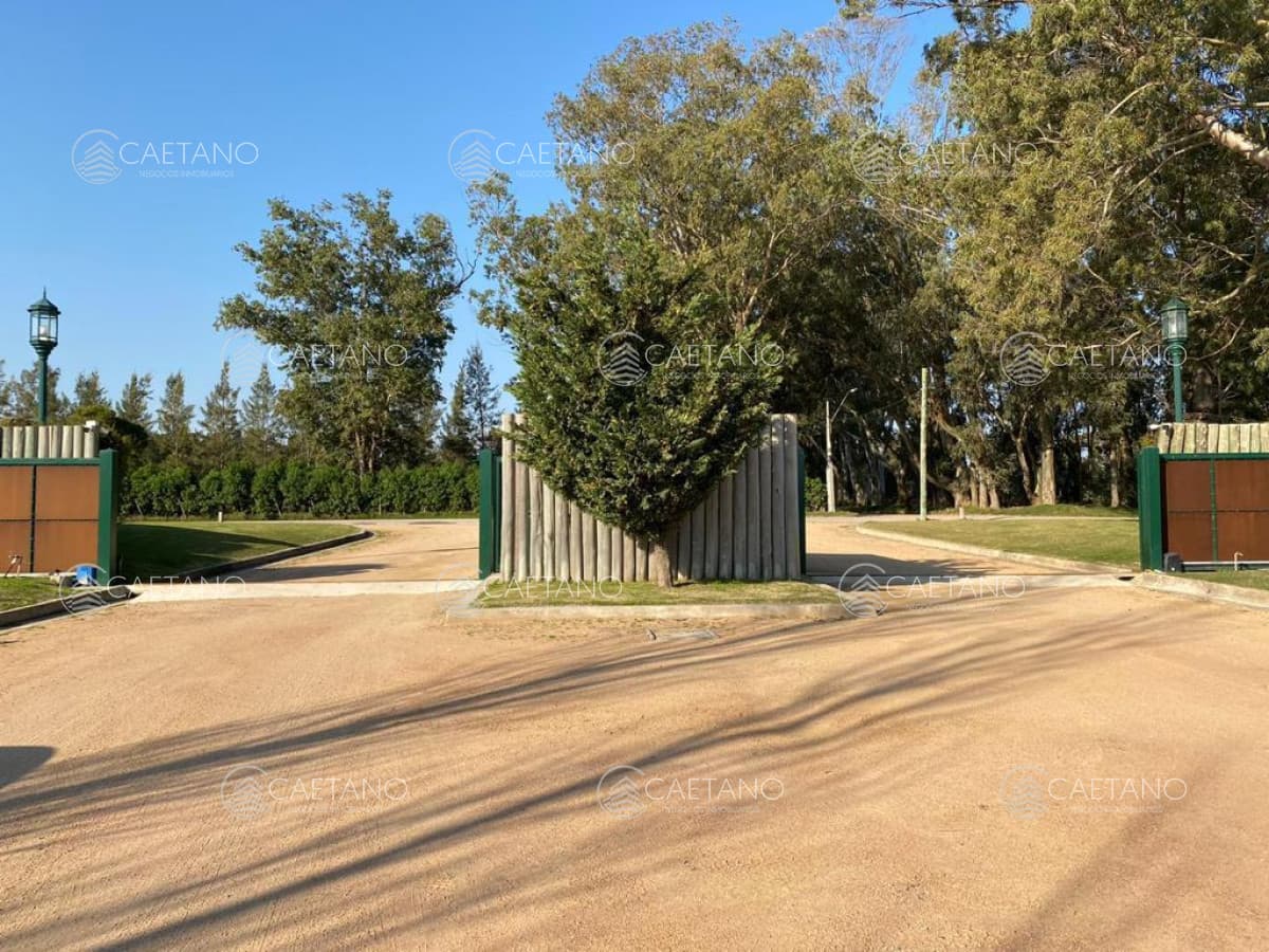 Terrenos en la Parada 45 de Playa Mansa — foto 3