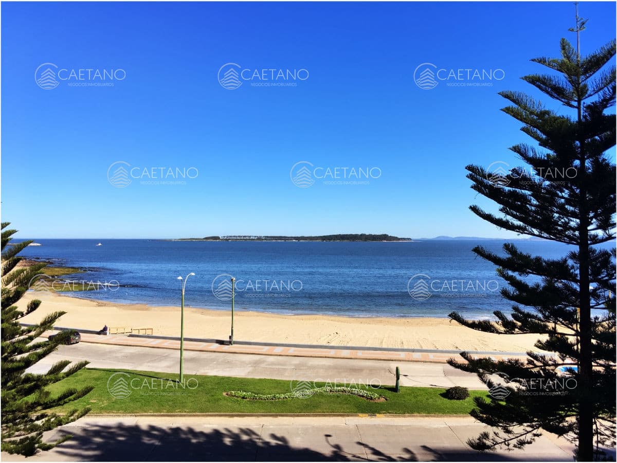Alquiler de apartamento de 3 dormitorios en Punta del Este — foto 3