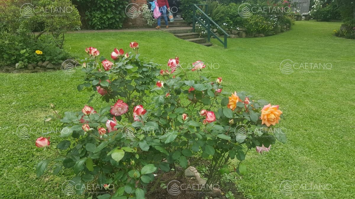 Casa en alquiler en Punta del Este — foto 3