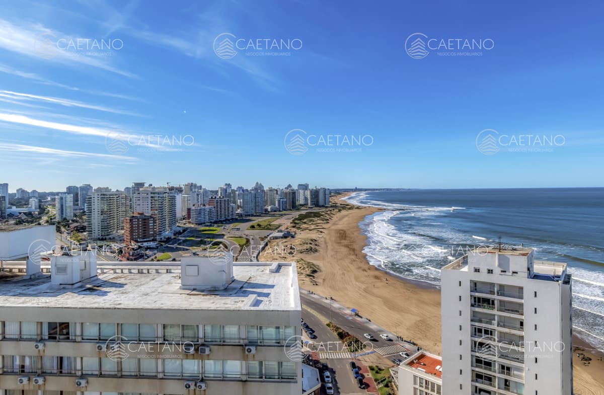 Apartamento 4 dormitorios en venta, semipiso actualizado — foto 3