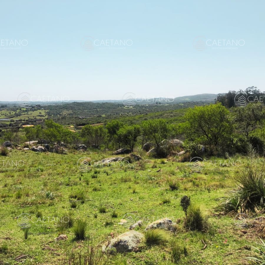 Chacra 6 Hectáreas en Venta — foto 2