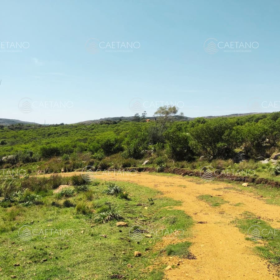 Chacra 6 Hectáreas en Venta — foto 3